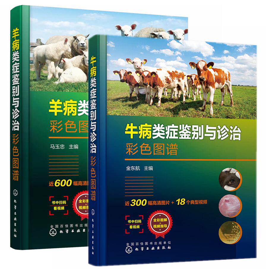 套装2册】牛病类症鉴别与诊治彩色图谱+羊病类症鉴别与诊治彩色图谱 牛羊病诊断与治疗养牛羊技术书籍牛羊病防治实用手册兽医书