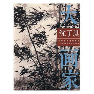 大画家:沈子琪 绘画作品集中国现代艺术书籍