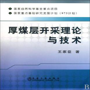 厚煤层开采理论与技术9787502450199 王家臣冶金工业出版社工业技术厚煤层采煤法书籍