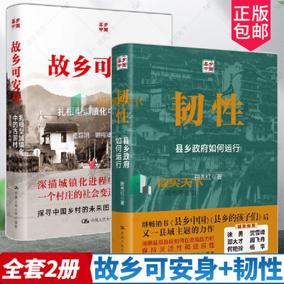 2册 故乡可安身+韧性 县乡政府如何运行 田先红 扎根型城镇化中的古源村 县乡干部的具体行为机制中国人民大学出版社乡村政治