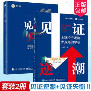 2册】 见证逆潮+见证失衡II:双顺差的结束、人民币国际化和美元武器化 投资决策资产配置攻略资产负债表经济周期证券投资书籍