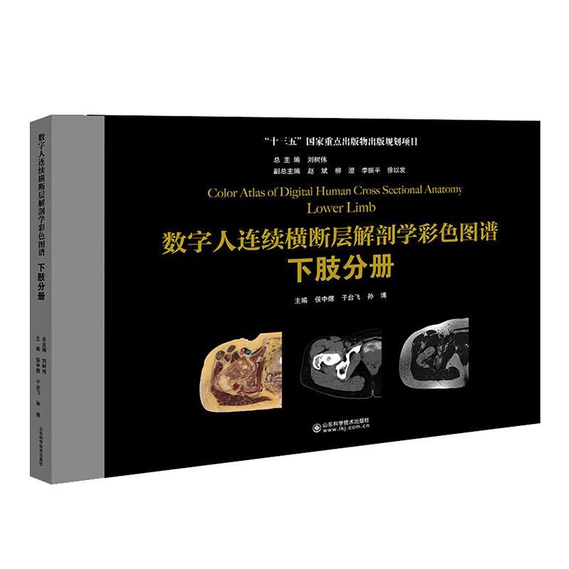 数字人连续横断层解剖学彩色图谱:下肢分册:Lower limb刘树普通大众下肢计算机线扫描体层摄影断面解自由组套书籍
