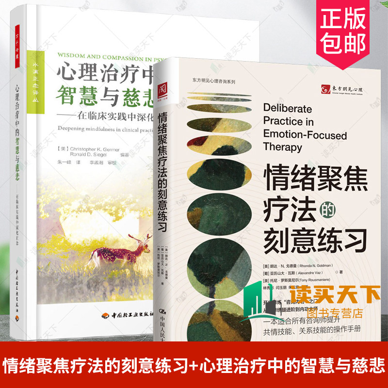 2册情绪聚焦疗法的刻意练习