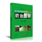 林业书籍 周席华普通大众森林害虫病虫害湖北图册农业 湖北省主要林业有害生物图册 精
