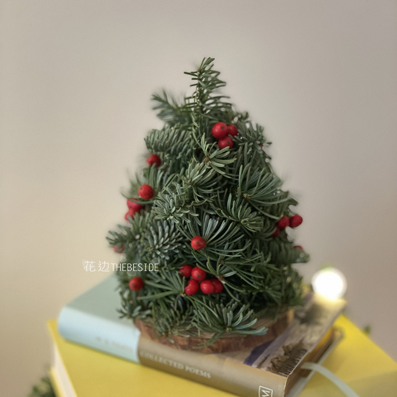 花边THEBESIDE 进口诺贝松圣诞树手工制作北京圣诞礼物可长久保存