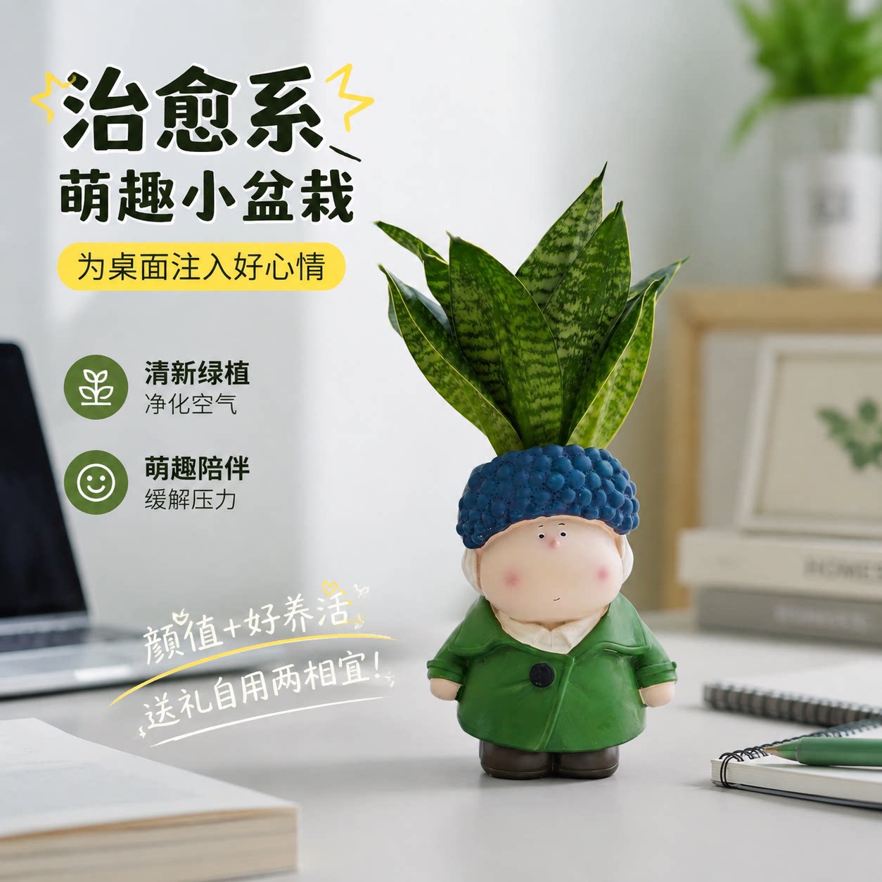 懒人闭眼入！桌面绿植好养小盆栽图片