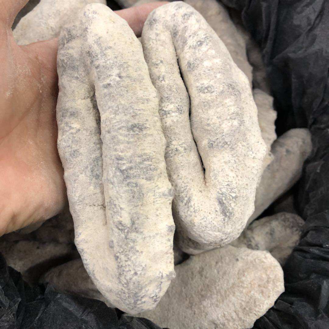 海参澳洲猪婆参500g乌石参 散装淡干猪母参货刺参