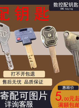 图片数控配钥匙叶片铣槽结构防盗门室内门钥匙指纹锁多轨道进口钥