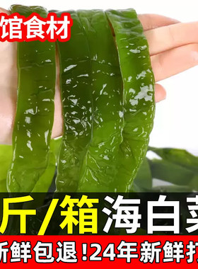 海白菜新鲜5斤盐渍裙带菜梗海带叶海菠菜非干货海藻荣成整箱包邮