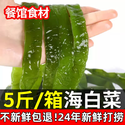 海白菜新鲜5斤盐渍裙带菜梗海带叶海菠菜非干货海藻荣成整箱包邮