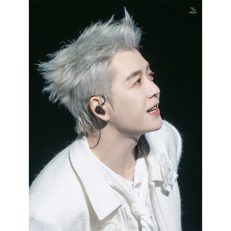 王栎鑫高清超大海报定制墙贴写真相纸挂画无框画谁说我们不会爱