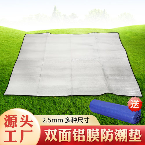 户外双面铝膜防潮垫折叠加厚便携式露营野餐垫帐篷潮隔可折叠垫子