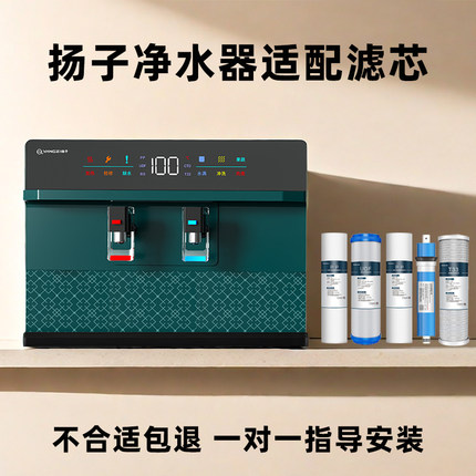 扬子净水器RO反渗透净水机厨房家用前置过滤加热直饮净饮一体机