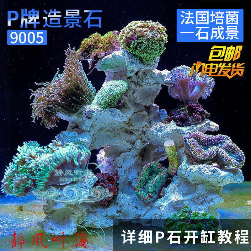 P牌培菌造景石鱼缸装饰9004 9005免暴藻送sps货缸原水含海量菌种