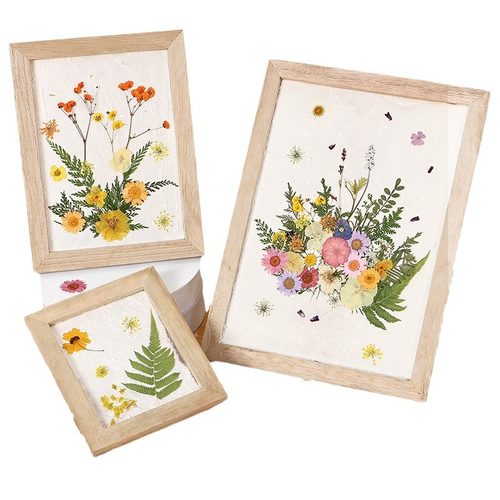 古法造纸术材料包套装儿