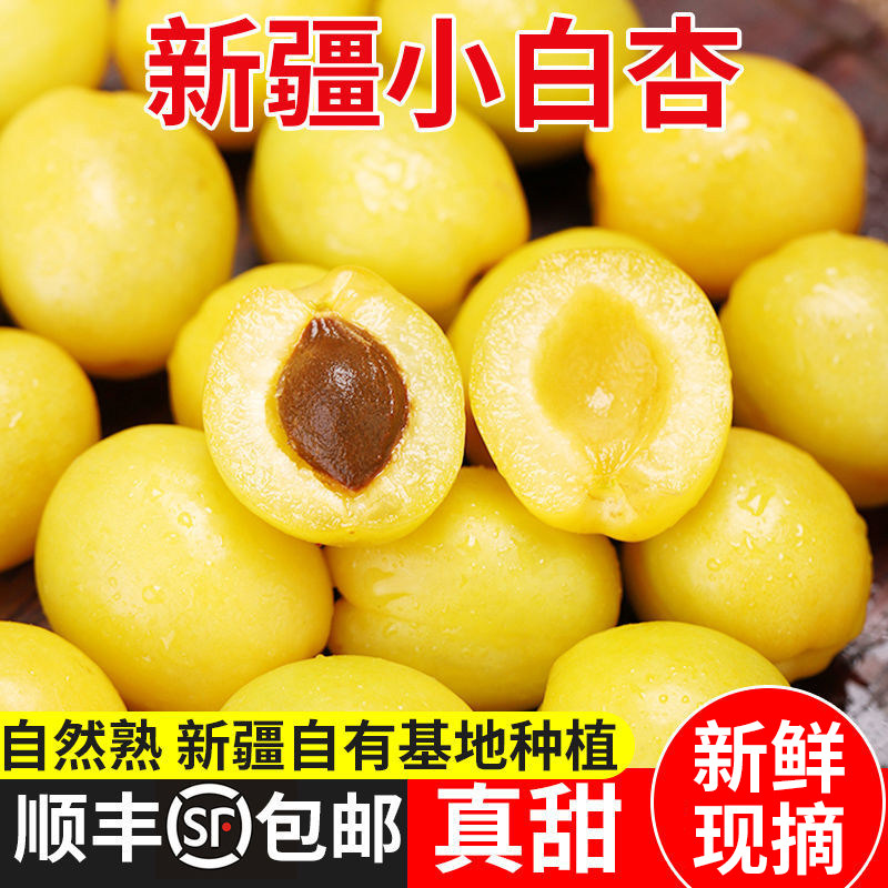 【顺丰精选】正宗新疆轮台小白杏子新鲜水果现摘纯甜库车小白杏子