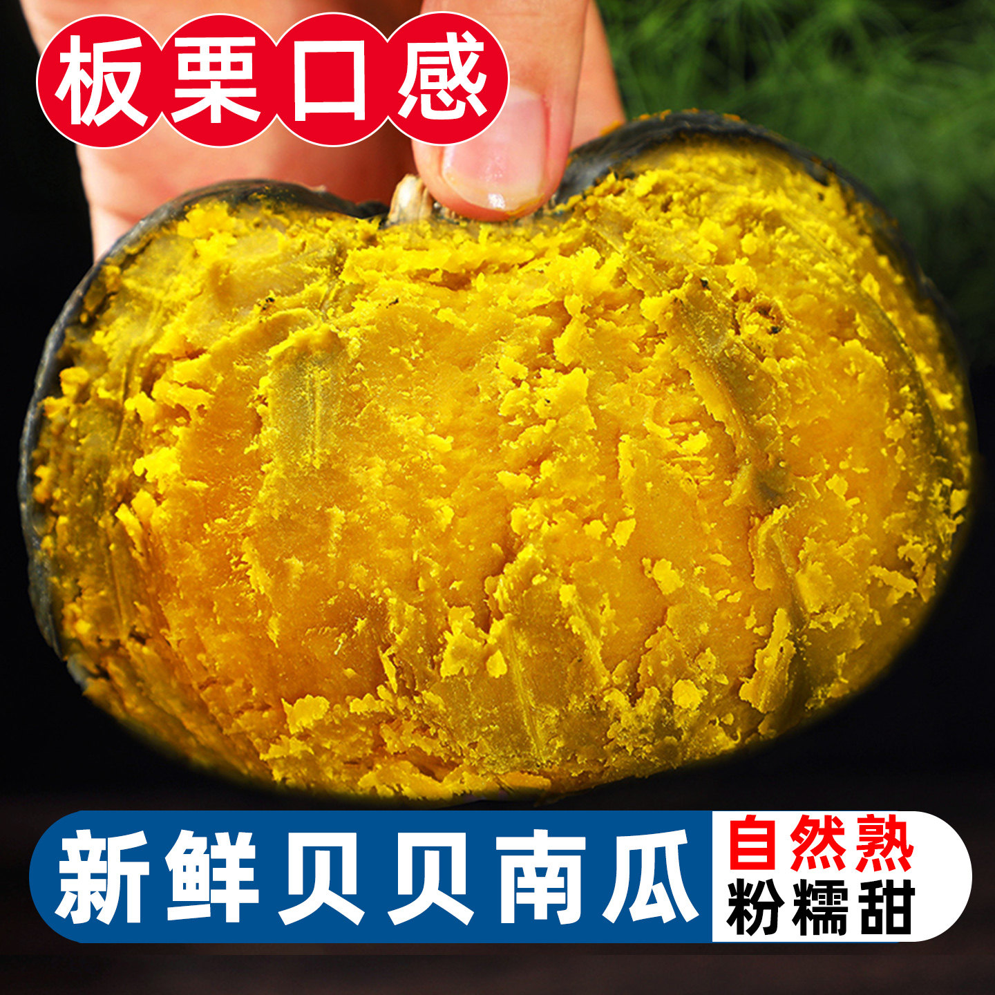 【粉糯沙甜】正宗贝贝小南瓜
