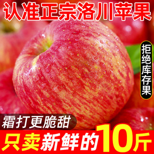 洛川苹果陕西红富士整箱5斤当季新鲜水果一级大果礼盒冰糖心10