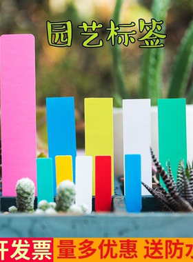 100片多肉标识牌塑料防水插签一字牌园艺植物标签花卉牌苗木记号