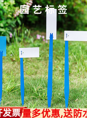 标签记号牌苗木标识牌塑料组合试验插地牌园艺花卉植物水稻