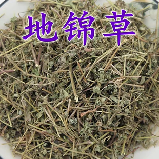 奶汁草 地锦草中药材500g克 血见愁 小飞扬草 别名草血竭 铺地锦