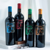疯马庄小疯马特级园系列干红葡萄酒智利名庄瓦帝维索CABALLO LOCO