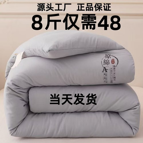 被子被芯加厚保暖冬天冬被8斤双人春秋被学生宿舍棉被褥单人
