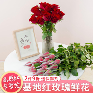 红玫瑰鲜花云南基地直发鲜切花真花水养插花母亲节高原红卡罗拉