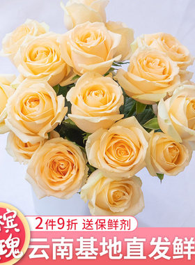 云南基地直发玫瑰鲜花套餐水养