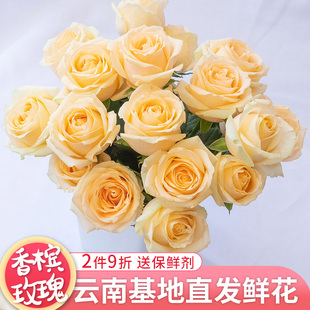 玫瑰鲜花云南基地直发鲜切花真花玫瑰套餐搭配家庭水养懒人插花