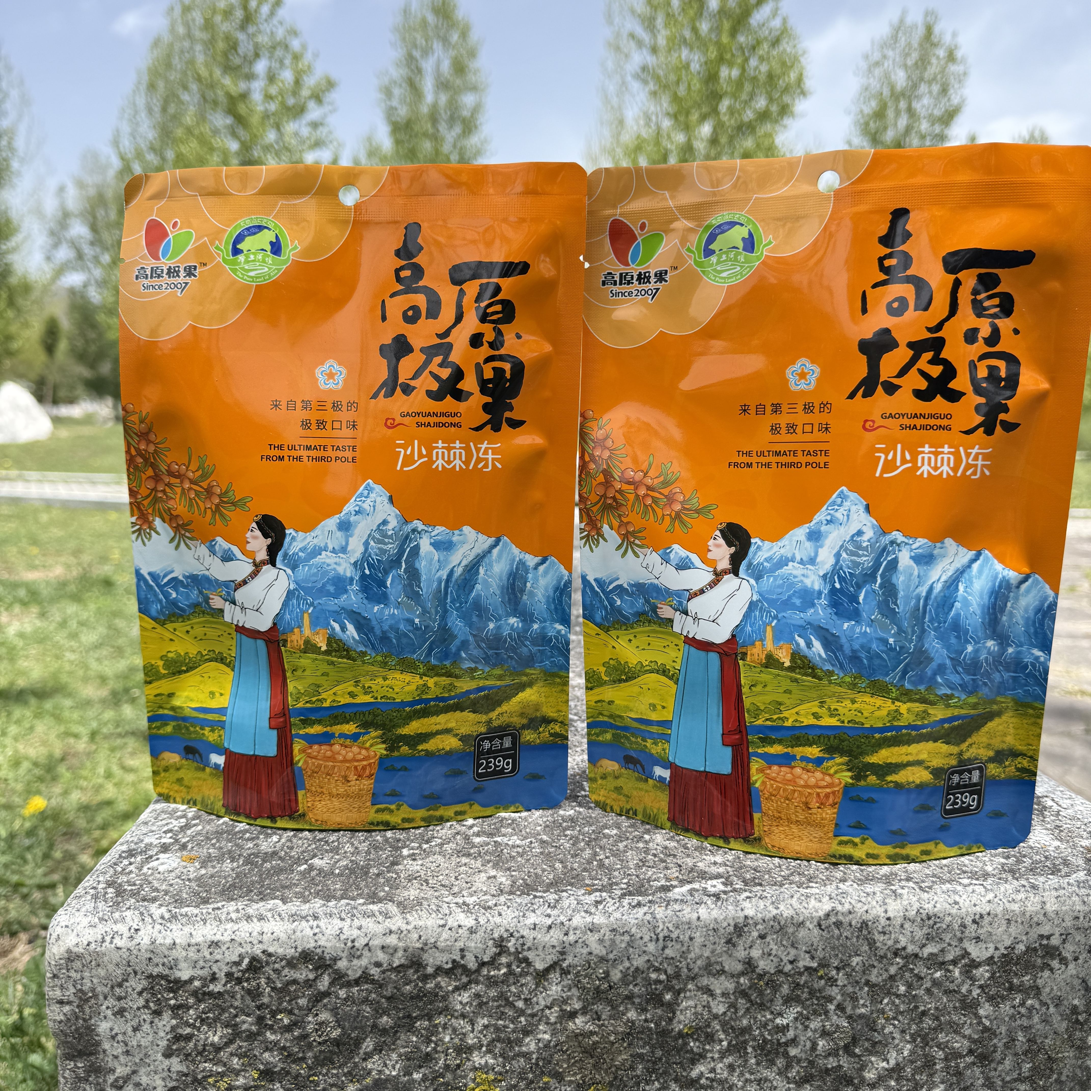阿坝特产沙棘冻239g约22小包果冻