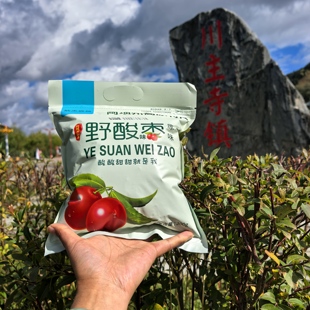 阿坝州九寨沟黄龙车销同款爆款野酸枣独立包装300克休闲食品无核