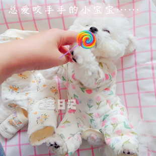 【软软柔柔】全棉包肚装睡衣家居服宠物比熊泰迪狗狗衣服秋冬装