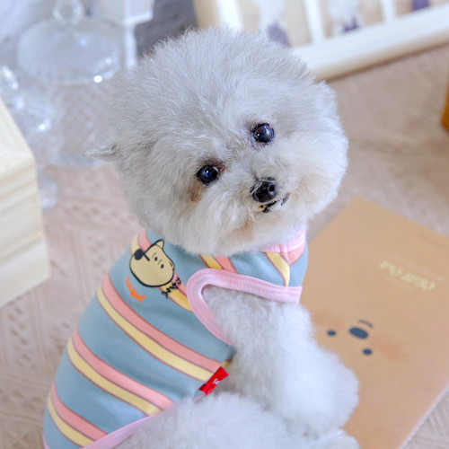 背心有大码猫防掉毛中型犬