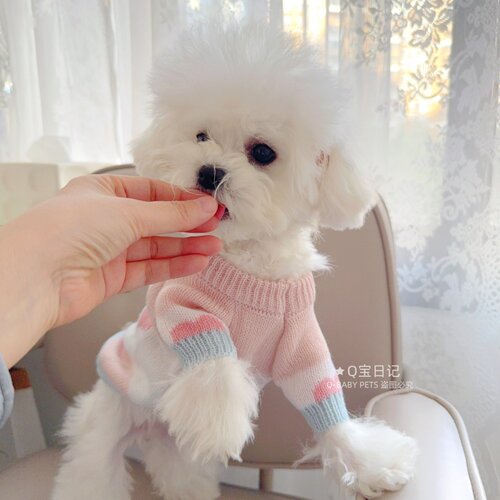 【双用料毛衣】可爱帅气宠物猫咪比熊雪纳瑞泰迪狗狗衣服秋冬装