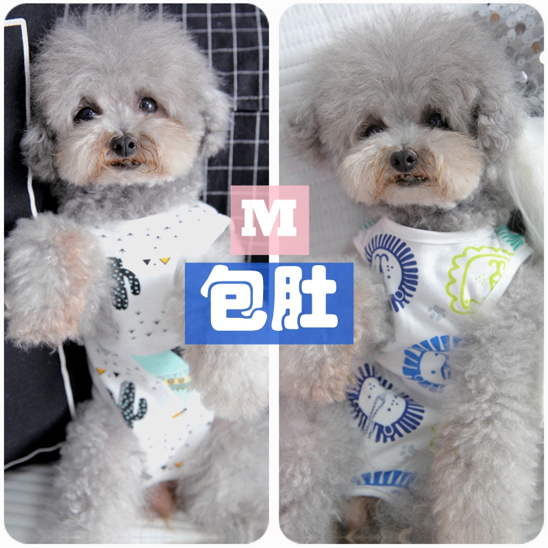 绝育纯棉狗狗衣服小型犬包肚子