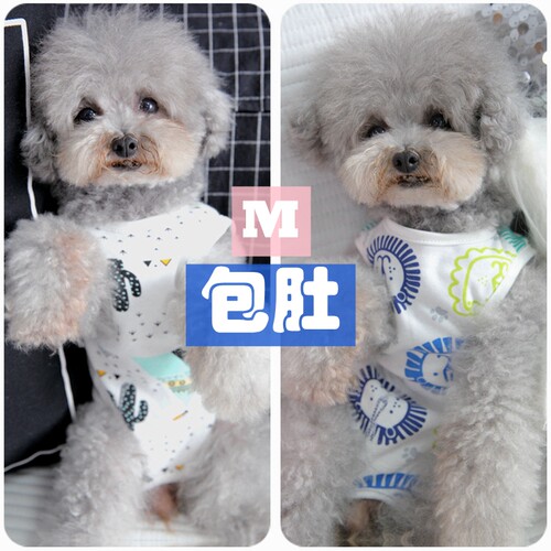 绝育纯棉狗狗衣服小型犬包肚子