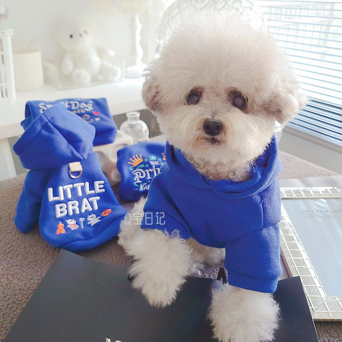 【潮酷】连帽卫衣可牵引宠物比熊雪纳瑞泰迪狗狗衣服秋冬装秋季