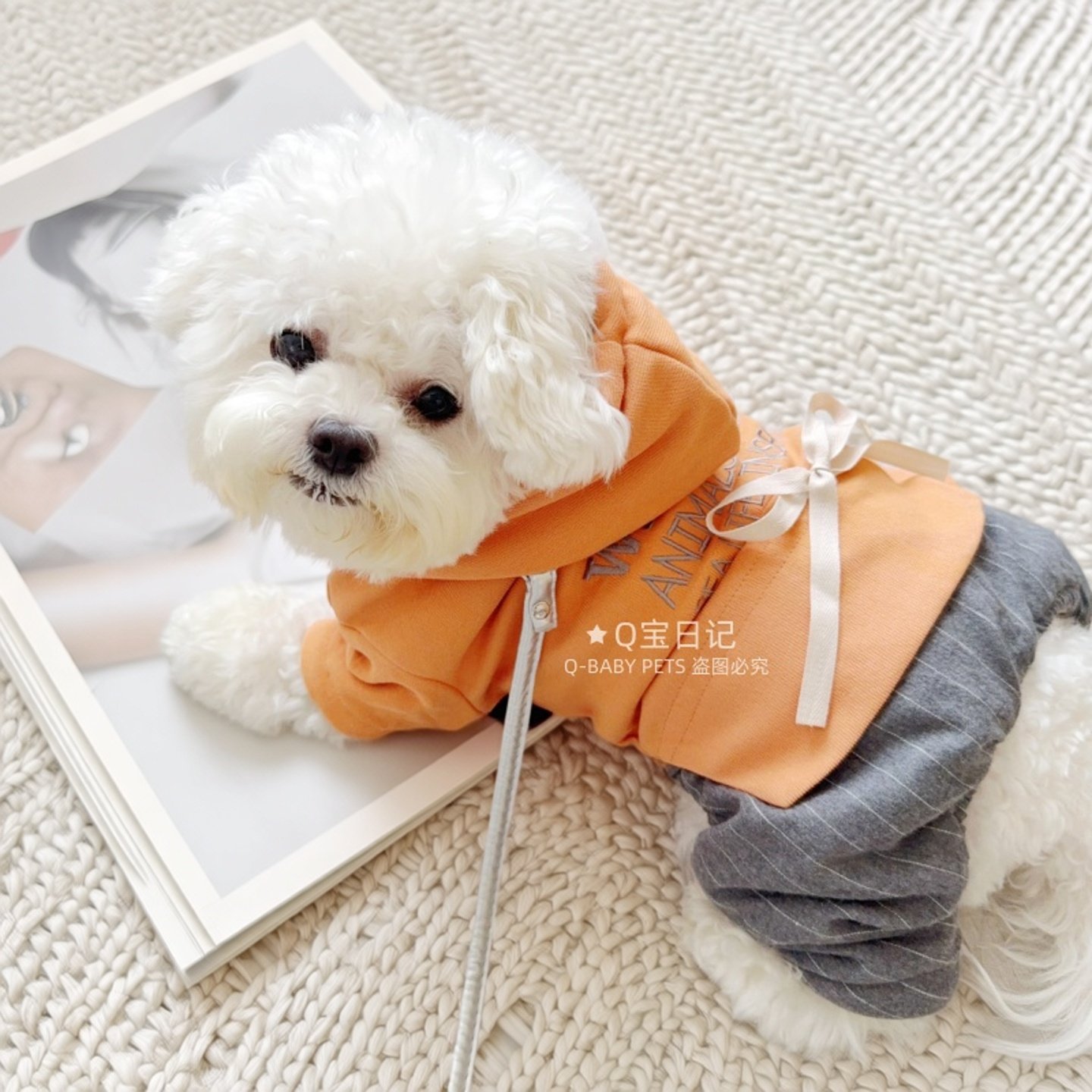 【品牌】可牵引宠物比熊雪纳瑞泰迪狗狗衣服秋冬装四脚衣帅气可爱,宠物/宠物食品及用品,狗宠物服装/雨衣,淘宝优惠券,粉丝福利购,淘宝优惠卷