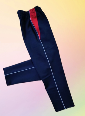 高中生藏青色春夏季加肥小学生直筒红三角一条白细条初中儿童校裤