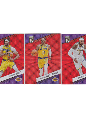 球星卡 安东尼戴维斯 威少 卡梅隆安东尼红折射帕尼尼22-23elite