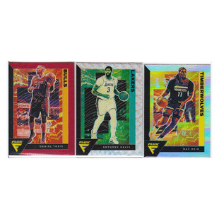 球星卡 泰斯 安东尼戴维斯 纳兹·里德 折射 帕尼尼20-21flux