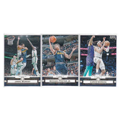 迈克尔波特阿隆戈登帕尼尼球星卡