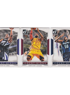 球星卡 盖伊 勒布朗詹姆斯 兰多夫 油画特卡帕尼尼14-15donruss