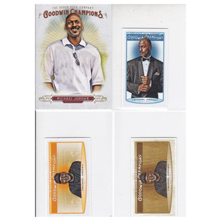 NBA球星卡 迈克尔乔丹 大卡 小卡  goodwin 2019