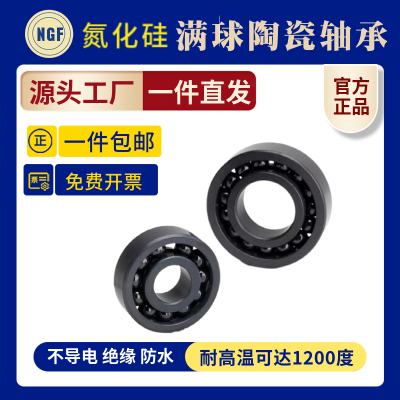 氮化硅满球陶瓷轴承6000 6001 6002 6003 6004 6005 6008 6006CEF