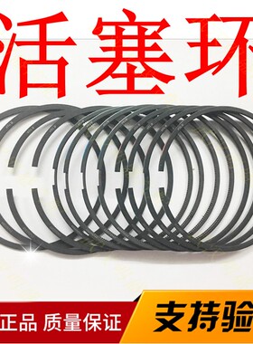 标致508 405 406 607 407雪铁龙C5 C6 3.0 V6进口发动机活塞环