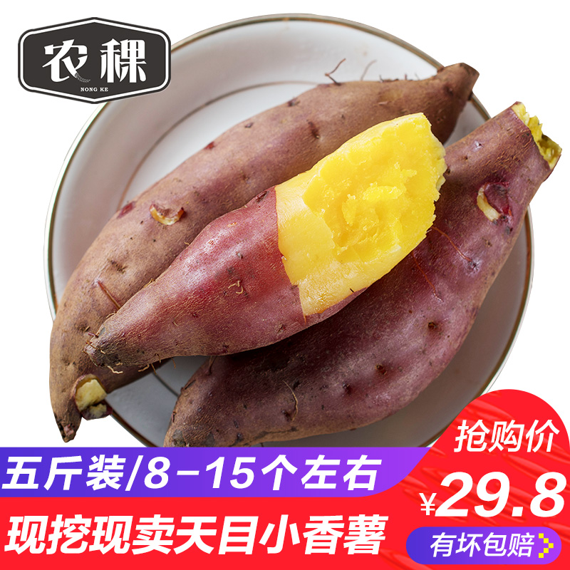 大号 临安天目山小香薯新鲜现挖黄心红薯地瓜板栗红薯番薯山芋