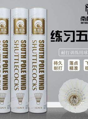 热销羽毛球正品耐打不易烂3/6只装娱乐健身用鹅毛球羽毛球12只装