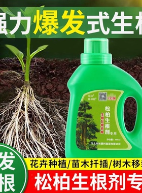 林保姆松树柏树生根剂生根粉银杏红豆杉云杉大树盆景移栽扦插壮苗